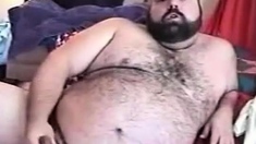 Hairy Chubby Bear Jo1