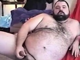 Hairy Chubby Bear Jo1